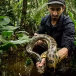 paul-rosolie-entered-the-amazon-at-18-and-spent-two-decades-fighting-to-save-its-rainforest-now-his.avif