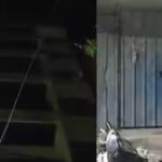 pulakeshinagar-police-have-launched-an-investigation-into-the-incident.jpg