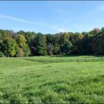 punxsutawneys-verdant-fields.jpg