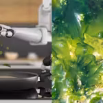 researchers-use-light-to-trigger-living-algaes-metabolism-enabling-the-tiny-robotic-arm-to-bend-with.avif