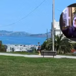 san-francisco-man-who-quietly-walked-his-dog-in-a-local-park-left-36-million-after-his-death-for-par.avif