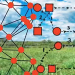 scientists-build-a-tiny-wireless-device-that-records-animal-brains-in-the-wild-it-is-lighter-than-a.avif