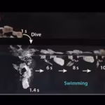 scientists-develop-a-tiny-98-gram-hopping-robot-that-uses-snapping-elastic-metal-rods-to-move-faster.avif