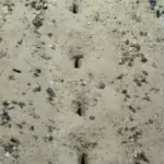 scientists-found-mysterious-lines-of-holes-on-the-pacific-seafloor-even-sediment-samples-failed-to-r.avif