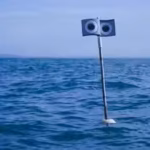 scientists-put-a-floating-scarecrow-beside-fishing-nets-the-device-cut-seabird-bycatch-by-59-while-a.avif