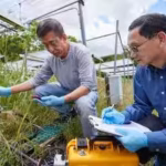 scientists-ran-a-12-year-grassland-experiment-in-oklahoma-and-found-that-warming-cut-soil-carbon-by.avif