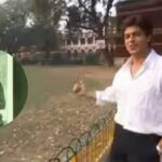 shah-rukh-khan.jpg