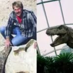 t-rex.jpg