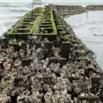 the-project-included-27-concrete-oyster-castle-breakwaters-and-13-shell-bag-reefs.jpg