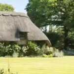 the-thatch.jpg