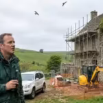 three-falcons-died-and-eggs-were-damaged-after-building-work-near-a-150000-prize-winning-falcon-a-50.avif