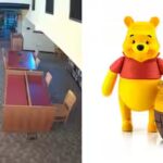 wild-bear-steals-honey.jpg